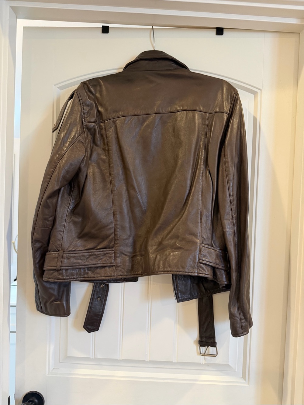 Quince 100% Leather Motorcycle Jacket in BrownNew with Tags - Picture 3 of 5